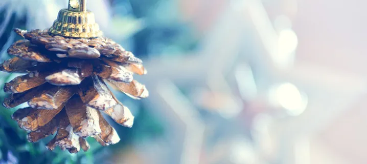 梦幻摄影白色曝光圣诞松果装饰高清