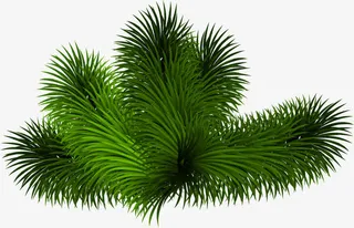 绿色手绘树枝圣诞海报免抠