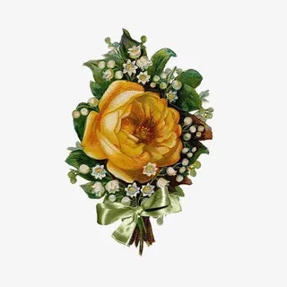 黄色手绘玫瑰免抠