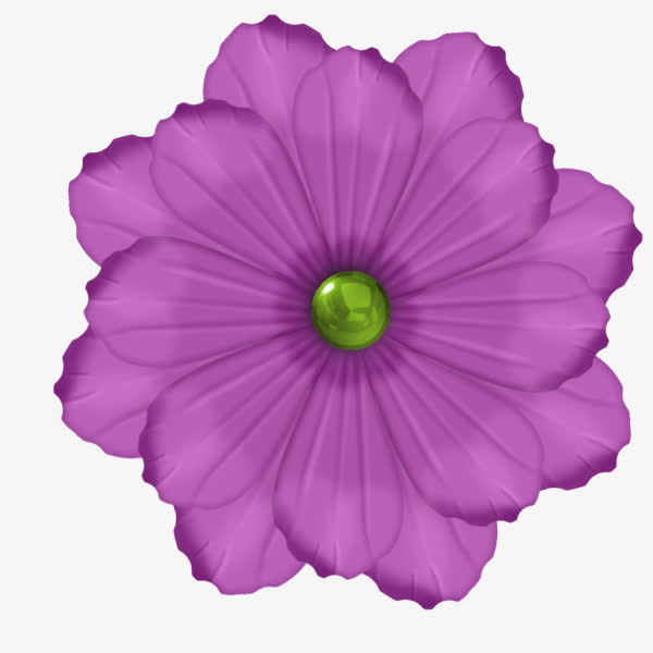 紫色鲜花免抠