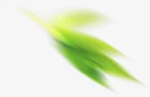 绿色叶子 模糊png素材免抠