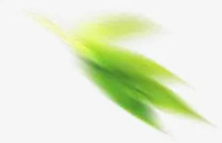 绿色叶子 模糊png素材免抠