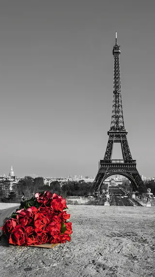 灰色铁塔玫瑰背景高清