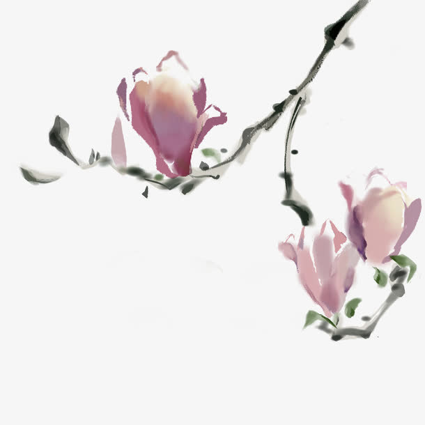 木棉花免抠