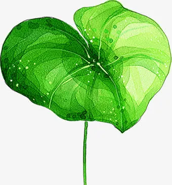 合成效果绿色的荷叶免抠