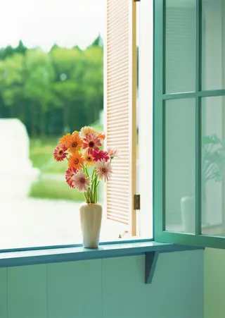 唯美家居插花图片高清