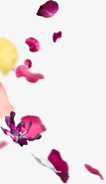花瓣免抠
