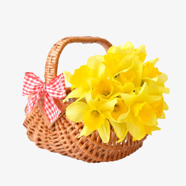 篮子里的黄花免抠