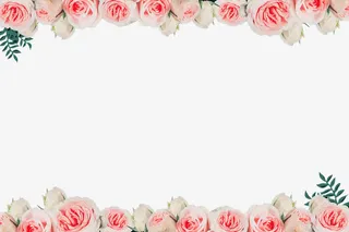 鲜花边框免抠