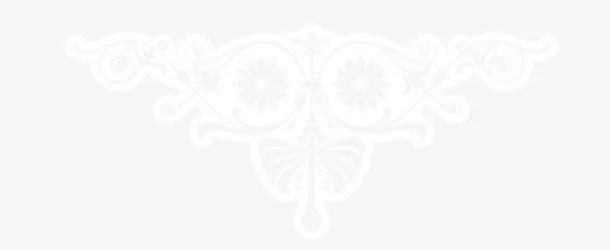 古典花纹图片花纹矢量图  卡通免抠