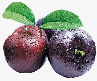 大颗新鲜乌梅免抠