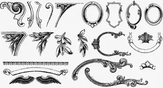 黑白设计元素，黑白元素，装饰画，花草免抠