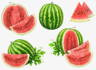 各种西瓜的夏天免抠