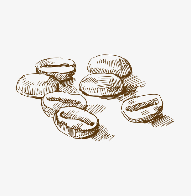 手绘几粒咖啡豆素描免抠
