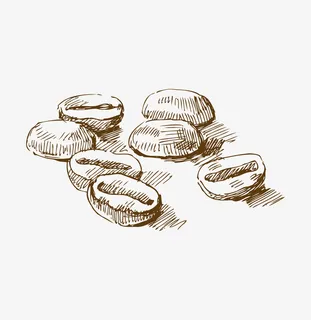 手绘几粒咖啡豆素描免抠