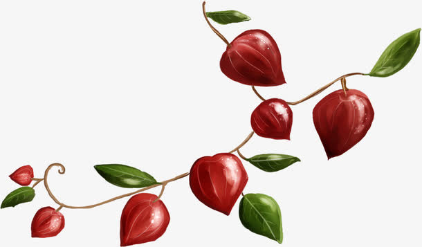 手绘红色灯笼花装饰免抠