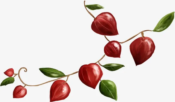 手绘红色灯笼花装饰免抠