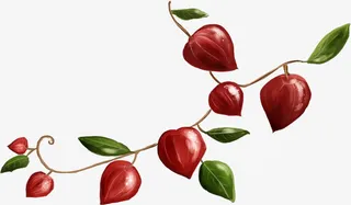 手绘红色灯笼花装饰免抠