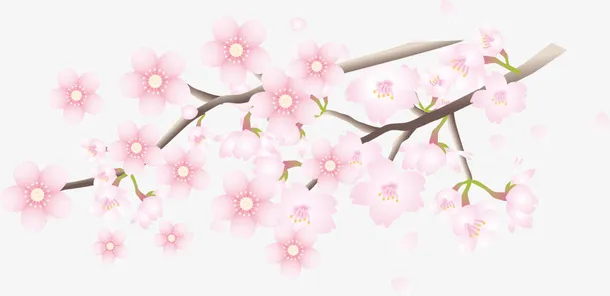 春暖花开绽放的桃花免抠