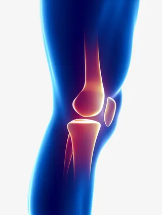 人物膝关节免抠