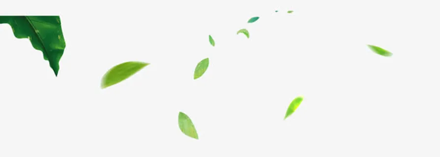树叶漂浮元素免抠