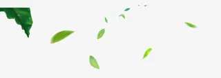 树叶漂浮元素免抠