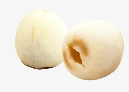 白色莲子免抠 白色莲子免抠