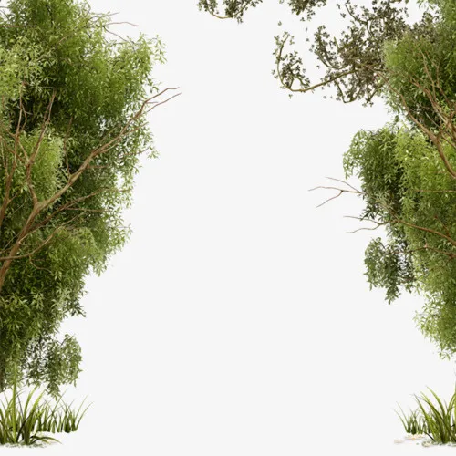 树，路，两边，装饰-1免抠