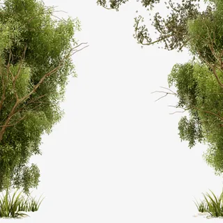 树，路，两边，装饰-1免抠