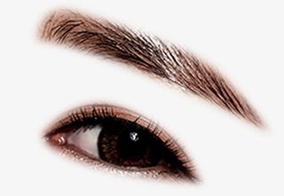 人物真实眉眼图免抠