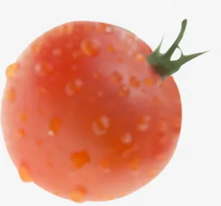 新鲜带水滴红色西红柿免抠