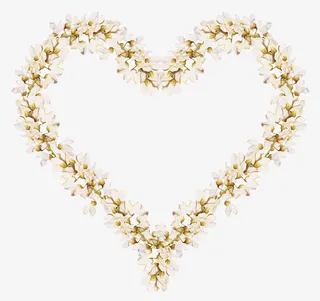 漂亮花朵桃心免抠