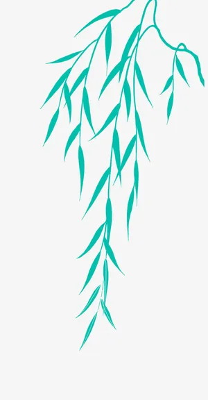 垂柳素材飞天资源论坛免抠