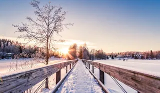 冬日暖阳户外美景免抠