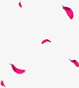 唯美创意粉红色花瓣免抠