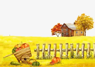 秋天的田野免抠