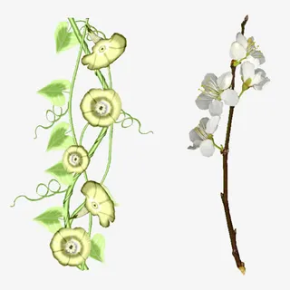 彩绘喇叭花樱花免抠