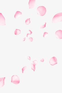 漂浮花瓣免抠PNG免抠