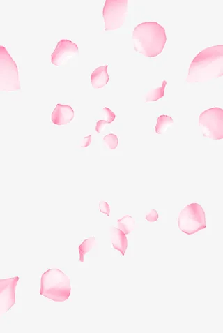 漂浮花瓣免抠PNG免抠