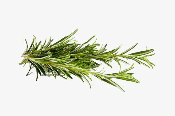 米迭香草免抠
