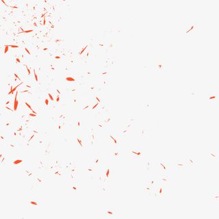 漂浮，花辨，红，装饰免抠