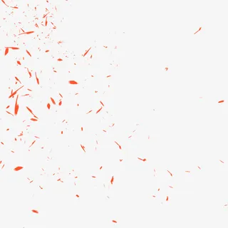 漂浮，花辨，红，装饰免抠