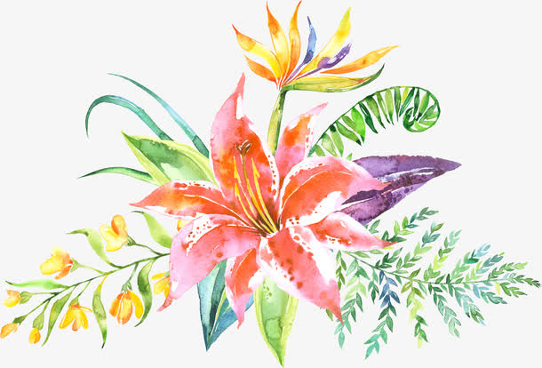 花卉标签水彩花卉免抠