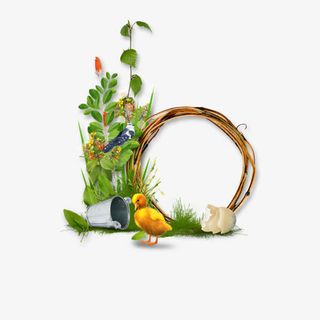 绿色草地上和树枝树叶免抠