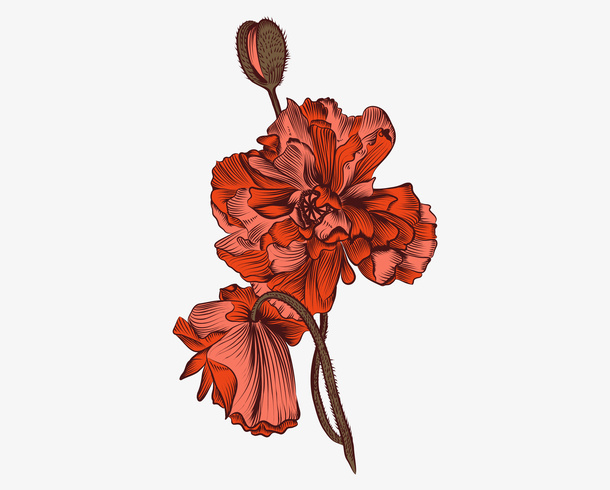手绘漂亮的花朵png免抠