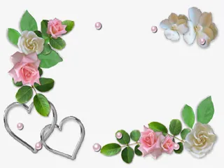 情人节玫瑰免抠