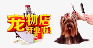 宠物店开业免抠