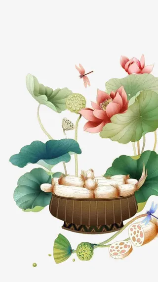 中国风荷花日历素材免抠