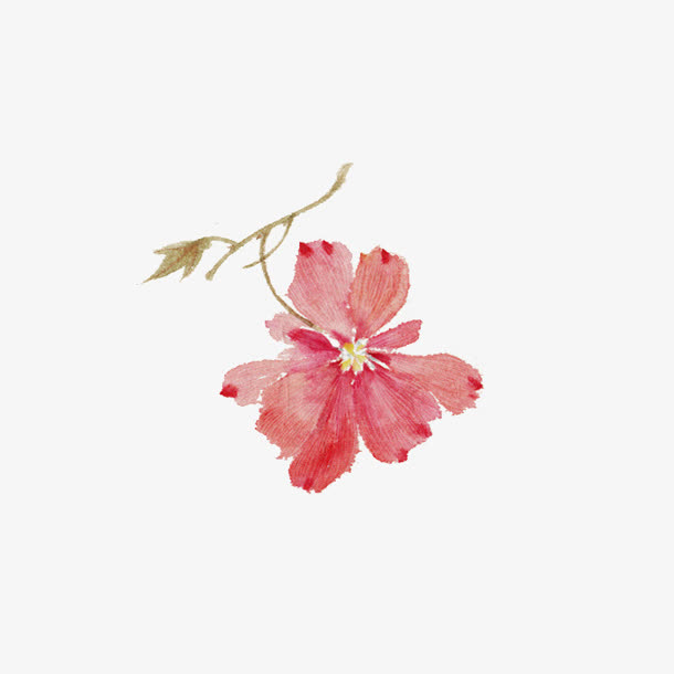 水彩红色花朵树枝免抠