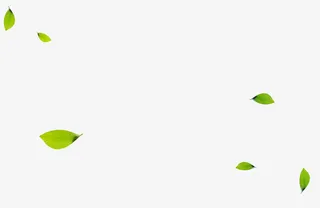 飘落的绿叶免抠